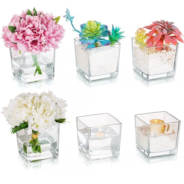 Glasseam Clear Square Glass Vases Cube Bud Vases for Table Centerpieces Set of 6
