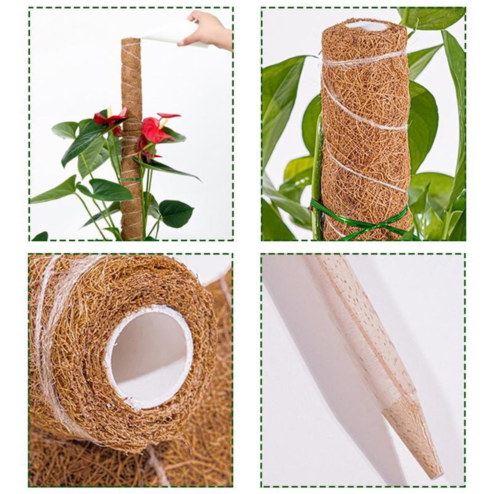 Moss boards Q57 22-23　MOSS STICK Amazon.com : 4 Pack 22 Inch Moss Poles, Stackable Moss Pole
