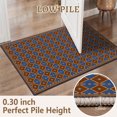 thumbnail image 2 of 2x3 Entryway Rug Bathroom Rugs for Front Door Bedroom Kitchen, Washable Vintage Print Carpet, Floor Mat with Non Slip Backing, 2 of 8
