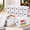 White-15-15.4 x 7.5 x 11.4 Inch, variant on White 15 Pack 15.4 x 7.5 x 11.4 Inch Comic Book Storage Boxes