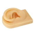 thumbnail image 1 of Display  Ear Model, Soft Silicone Flexible Ear Simulation Pierce Practice Jewelry, 1 of 8