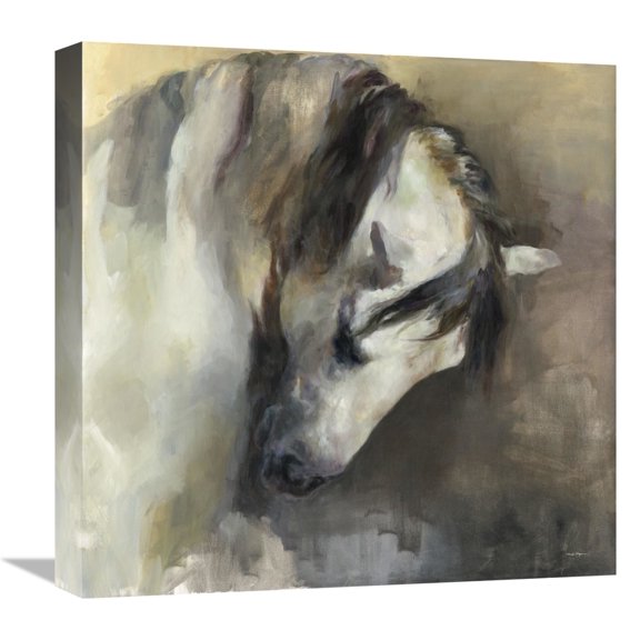 Global Gallery's 'Classical Horse v2' By Marilyn Hageman Stretched Canvas Wall Art