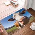 thumbnail image 4 of Balery Blue Sky Meadow Cute Cow Felpudo de franela, resistente a las manchas y a la decoloración, para uso interior y exterior, fácil de limpiar, 40 x 60 cm, 4 of 7