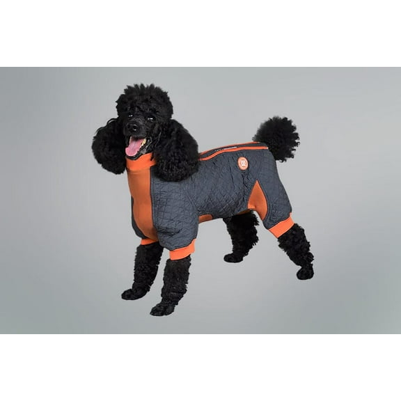 Springy. Near Full Body Dog Coat