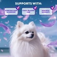 thumbnail image 3 of Calming Diffuser Kit for Dogs & Puppy - Pet Separation Anxiety Relief & Calm Pheromones Plug - Anti Stress Treatment Help with Fireworks, Aggression, Fighting & Other Problematic Behaviors, 3 of 7