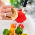 thumbnail image 4 of Full Circle The Ring Fruit and Vegetable Cepillo de limpieza 2 en 1 para frutas y verduras, pequeño (paquete de 1), blanco Fason JQWJ253, 4 of 7