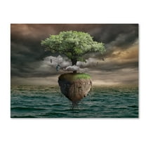Trademark Fine Art 'Sky Island' Canvas Art by Radoslav Penchev