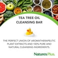 Natures Plus Purifying Cleansing AIF4 Bar With Energizing Tea Tree