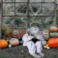 thumbnail image 3 of Crying Ghost With Voice Control Indoor/outdoor Halloween Decoration Decor Haunted House Vibrate Cover Face, 3 of 5
