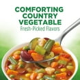 thumbnail image 2 of Healthy Choice Country Vegetable Canned Soup, 15 oz, 2 of 6