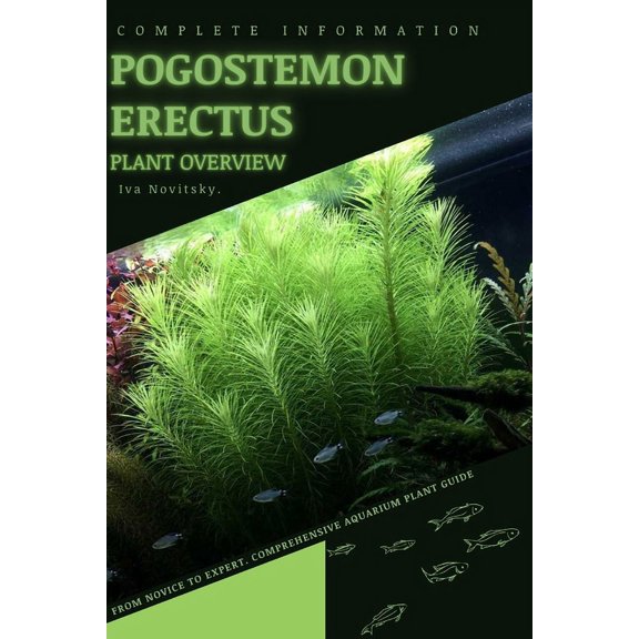 Pogostemon Erectus: From Novice to Expert. Comprehensive Aquarium Plants Guide (Paperback)