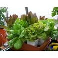 thumbnail image 4 of 22 x 22 Inches Megagarden System with Ebb and Flow System (2 Pack), 4 of 5