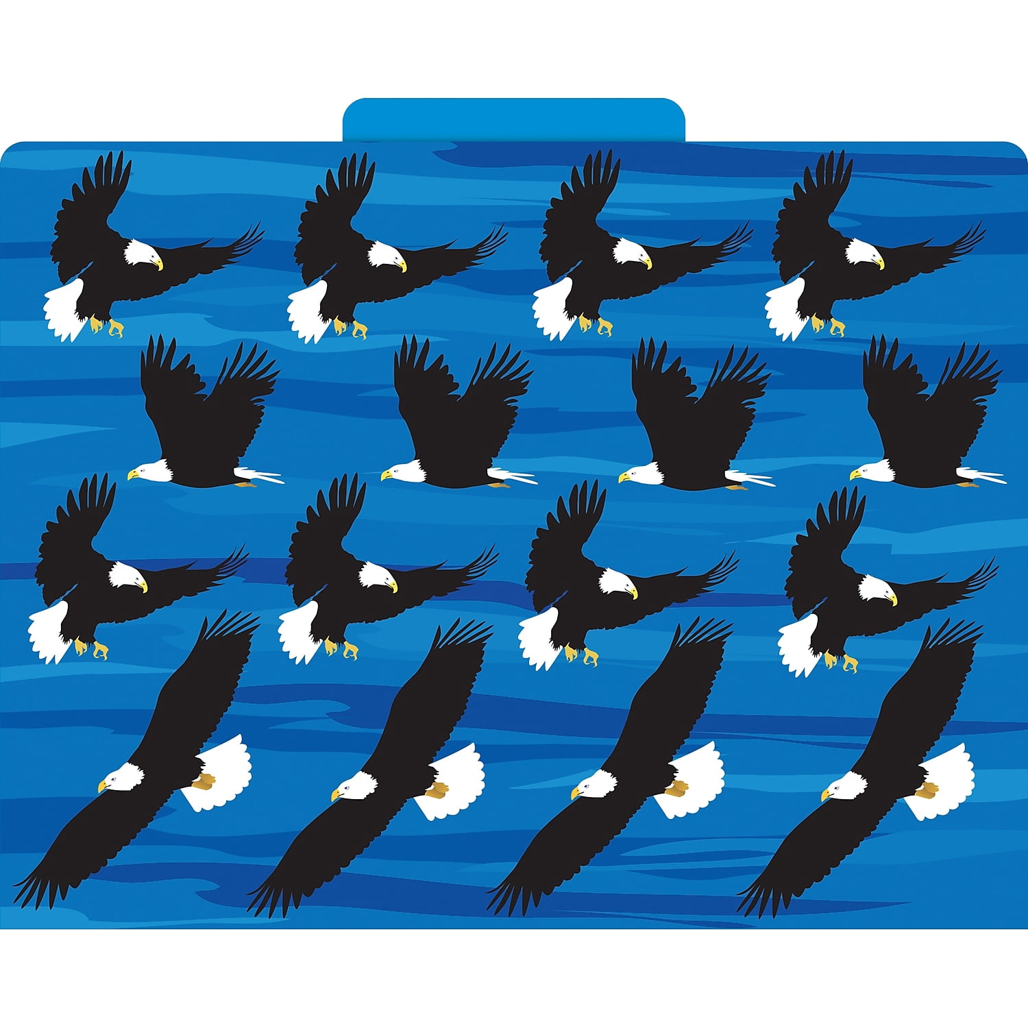Barker Creek Designer File Folders Set of 12, Sea & Sky, Multi-Design, Reversible, Colorful Patterns Inside and Out, Letter Size, 1/3 Cut Tabs, 12-Pack, Home, School and Office Supplies (1377)