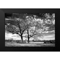thumbnail image 2 of Hausenflock, Alan 24x17 Black Modern Framed Museum Art Print Titled - Roseville Oaks, 2 of 5