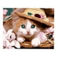 thumbnail image 5 of Pintura de Bricolaje BLESIY sin Mco al por Números Ped Adornos 50 * 40 cm Cat Princess Cuadro de pintura al óleo, 5 of 7