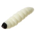 thumbnail image 2 of 20 piezas de cebo blando Yeacher 3cm 1g Maggot Grub gusanos de pesca, 2 of 8