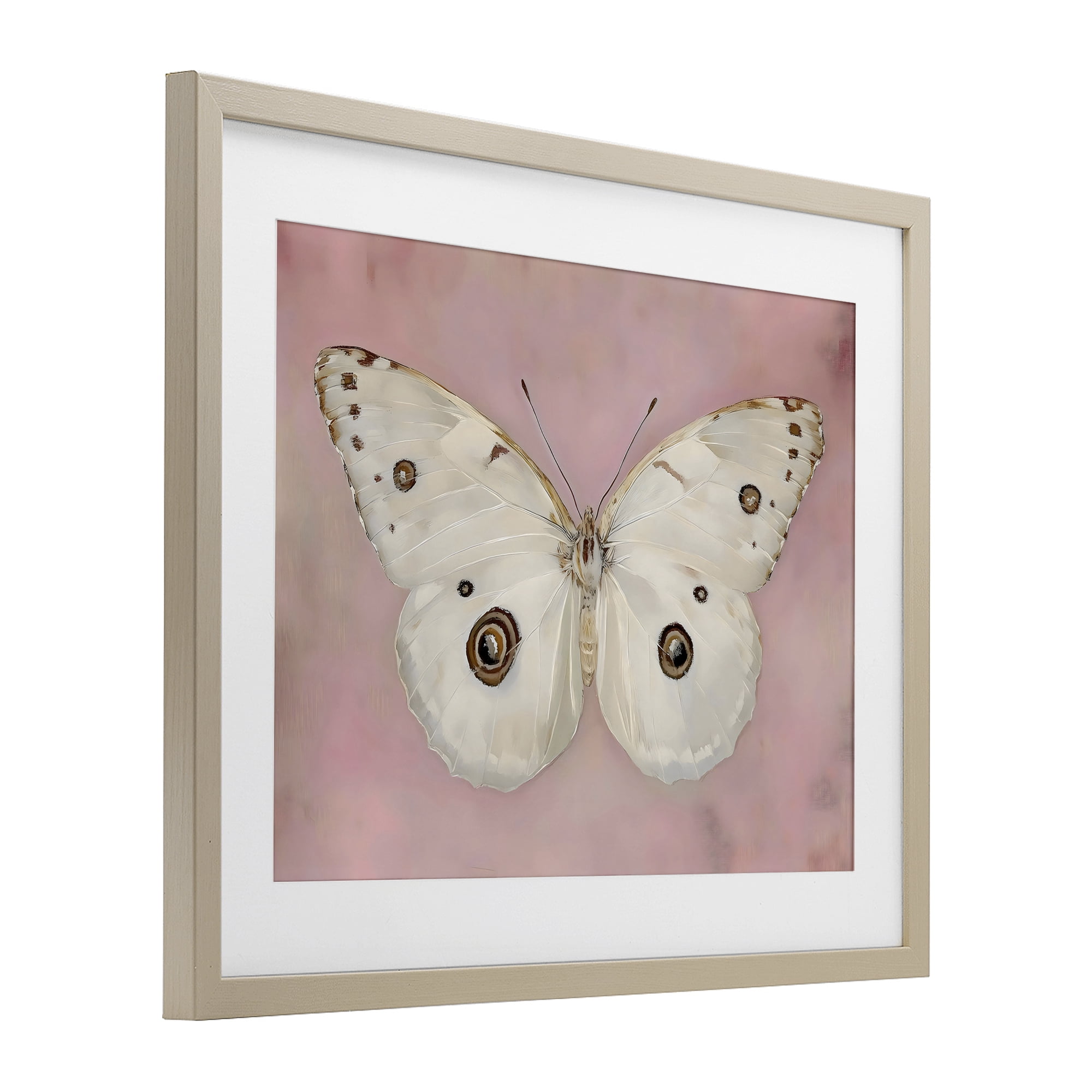 Stupell Industries Gossamer Butterfly on Blush Background Birch Framed Print Under Glass, design by Arlington Prints