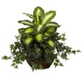 thumbnail image 2 of Nearly Natural Artificial Dieffenbachia & Ivy with Decorative Planter, 2 of 4