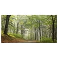 thumbnail image 2 of Chemin de Forêt de Plage Verte - Impression sur Toile d'Art de Paysage Photo, 2 of 3