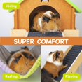 thumbnail image 3 of Hamaca para Cobayo BESNEW 3 en 1 Ampliada con Casa y Plataforma, 3 of 8