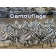 thumbnail image 2 of Camouflage (Musée Américain d'Histoire Naturelle), 2 of 3