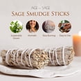thumbnail image 3 of Smudge Sticks Age of Sage White Sage, 10 cm, paquete de 3, 3 of 7