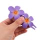 thumbnail image 5 of YSNOOWE 4Ud Clips Para El Con Plumeria En Colores Surtidos Para Uso Diario Y Eventos, 5 of 7