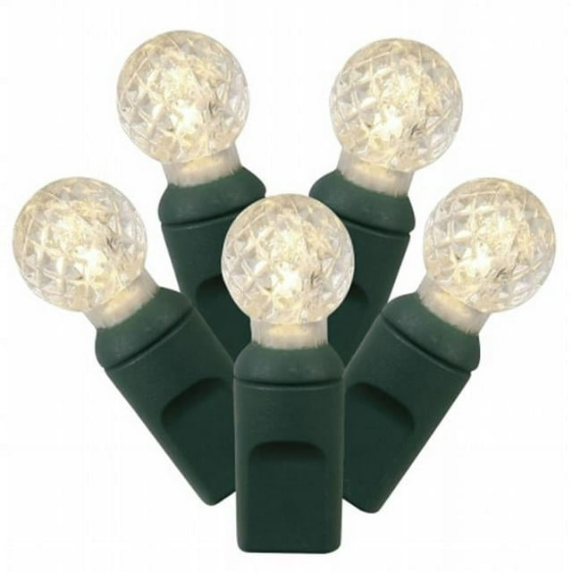 Vickerman X6G9501PBG 50Lt LED WmWt/GW G12 Ec Set 25'L