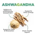 thumbnail image 4 of Ashwagandha Gummies - Advanced Ashwagandha Gummy Formula for Daily Use - Natural Antioxidant Support & Brain Health Support - Natural Calm, Relaxation, & Immune Support - Berry Flavor - 60 Gummies, 4 of 10