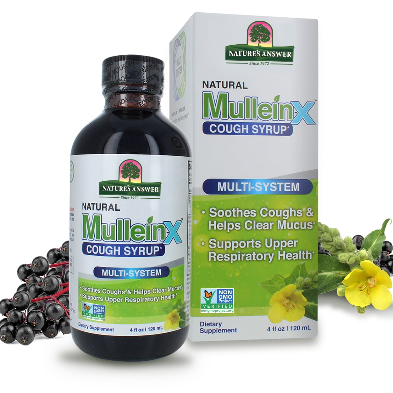 Nature's Answer Mullein-X Multi-System Natural Cough Syrup 4 fl oz