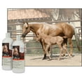 thumbnail image 4 of UltraCruz Equine Horse Shampoo and Conditioner Bundle, 32 oz each, 4 of 5