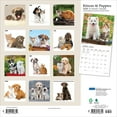 thumbnail image 2 of Kittens & Puppies | 2026 12x24" (Hanging) Monthly Square Wall Calendar | Plato, 2 of 9