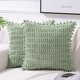thumbnail image 1 of Xiao Hua Funda de almohada decorativa verde de 2 piezas, 22 x 22 pulgadas, para sofá cama, decoración de sala de estar, 1 of 5
