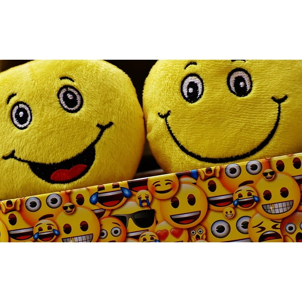 Emoticon Smiley Smilies Joy Funny Yellow Emoji 12 Inch By 18 Inch Laminated Poster With Bright Colors And Vivid Imagery Fits Perfectly In Many Attractive Frames Walmart Com Walmart Com