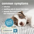 thumbnail image 3 of HomeoPet HP Healing Cream Wound Support Cream for Pets, 14-Gram Tube, 3 of 8