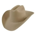 thumbnail image 1 of bailey western lightning, 1 of 1