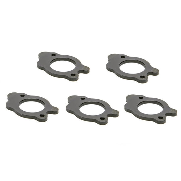 Pioneer Cam Thrust Plates (5) - SBF