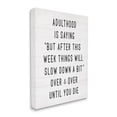 thumbnail image 3 of Stupell Industries Amusing Busy Adulthood Typography Plank Pattern Humor Graphic Art Gallery Wrapped Canvas Print Wall Art, Design by Daphne Polselli, 3 of 7