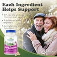 thumbnail image 4 of RidgeCrest Herbals Blood Pressure Herbal Formula, 12 Herbs, Poria Mushroom, Gastrodia, Gardenia, for Heart, Vascular, Circulation Health, Nitric Oxide Support, Stress Management (120 Caps, 60 Serv), 4 of 6