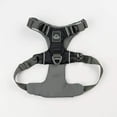 thumbnail image 2 of Alpha Pak - Everyday Adventure Dog Harness, 2 of 6