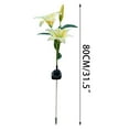 thumbnail image 2 of Dengmore 2 Lily Flowers Outdoor Solar Lights Waterproof Multicolor Changing with Solar Panel for Garden Patio(1pcs), 2 of 4