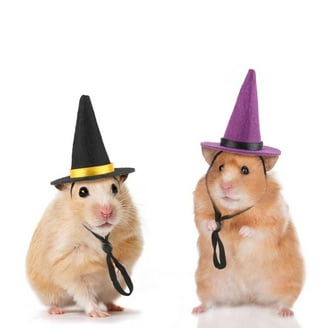 Kit Déguisement Halloween Hamster | Kit Chapeau Hamster Costume