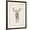 Brown Frame, variant on Art.com Moose Study Art Print by Ethan Harper, 18" x 24"