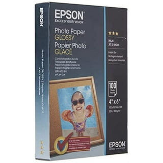 Epson Printer Paper Roll Assembly Shipped With Stylus Photo R1800, R1900,  R2000 