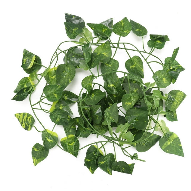 Decorations, Terrarium Reptile Plant Hanging For Fish For Terrarium For