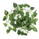 thumbnail image 2 of Enredadera artificial ratán de la selva de ratán rama trepadora para acuario de tienda de peces de reptiles ANGGREK Otros, 2 of 8