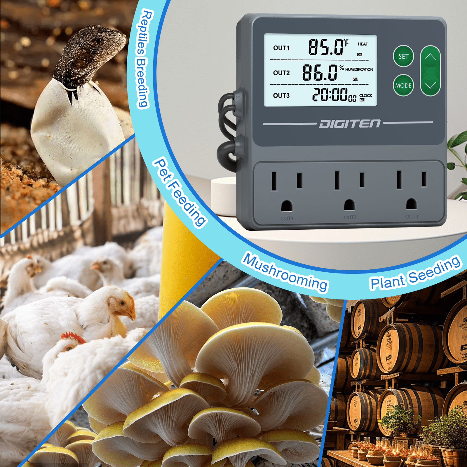 DIGITEN Temperature and Humidity Controller with Timer - 3 Outlet, 2 Separate Probes, Plug in Temperature Controller for Reptiles ,Snake, Mushrooms