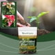 thumbnail image 5 of ¡Liquidación! Hormonas de enraizamiento en polvo para plantas de jardín. Potenciador de enraizamiento para plantas. Promueve el crecimiento saludable de las plantas. Multicolor., 5 of 8