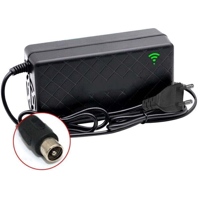 24V 2A Electric Bike Smart Lithium Battery Charger Output 29.4V 2A Charger DC Port Fast Charger With Cooling Fan, Rca Socket,
