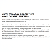 Green Sensation - 1 Liter Bottle by Plagron